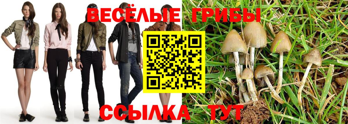Галлюциногенные грибы ЛСД  Псилоцибиновые грибы прущие грибы  Великий Устюг  Вход с VPN 